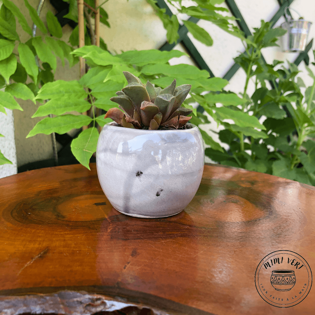 Petit pot en forme de hibou, de dos, gris clair, contenant un cactus, posé sur une table en bois avec des plantes vertes en arrière-plan.