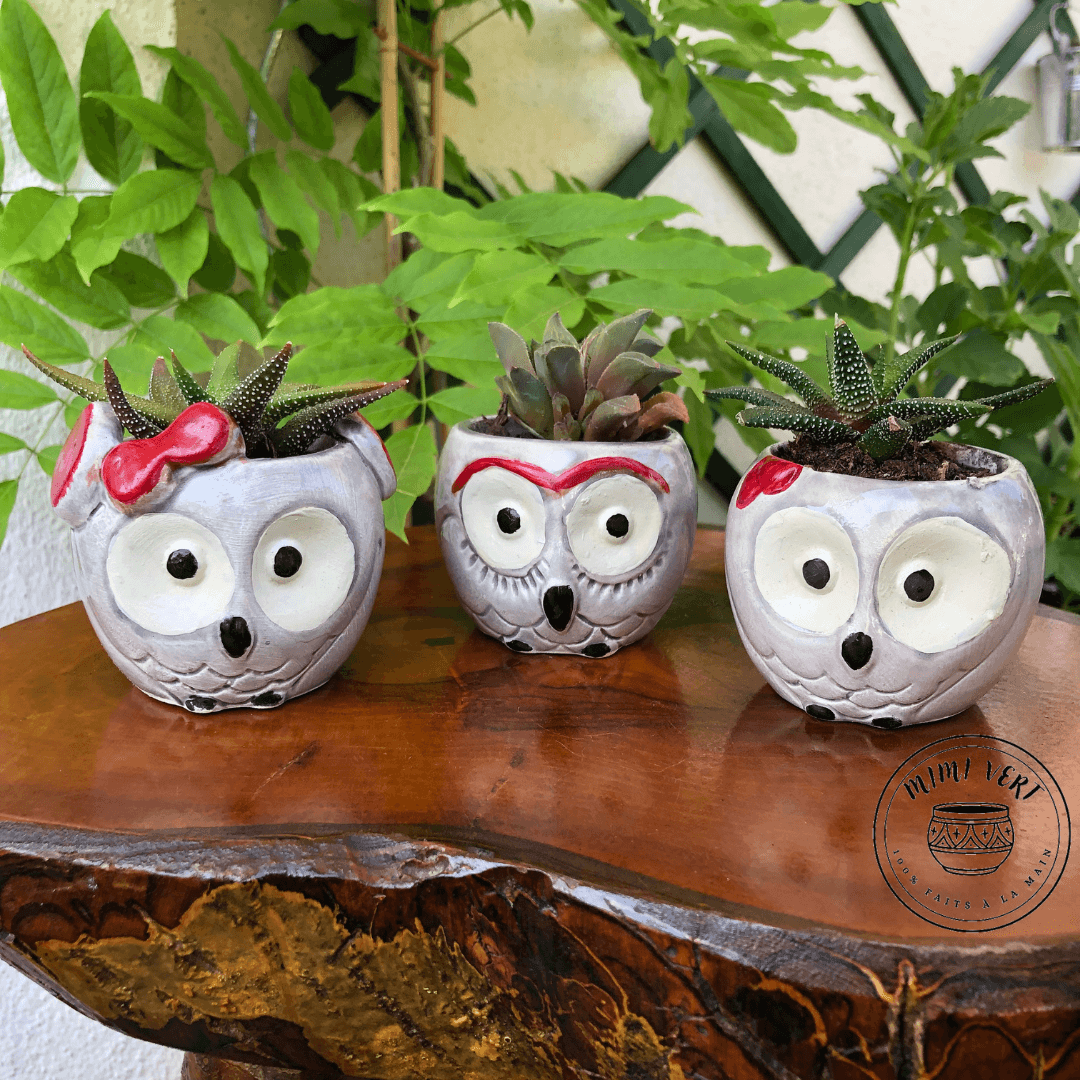 Trois petits pots en forme de hibou, gris clair, chacun contenant un cactus, posés sur une table en bois avec des plantes vertes en arrière-plan.