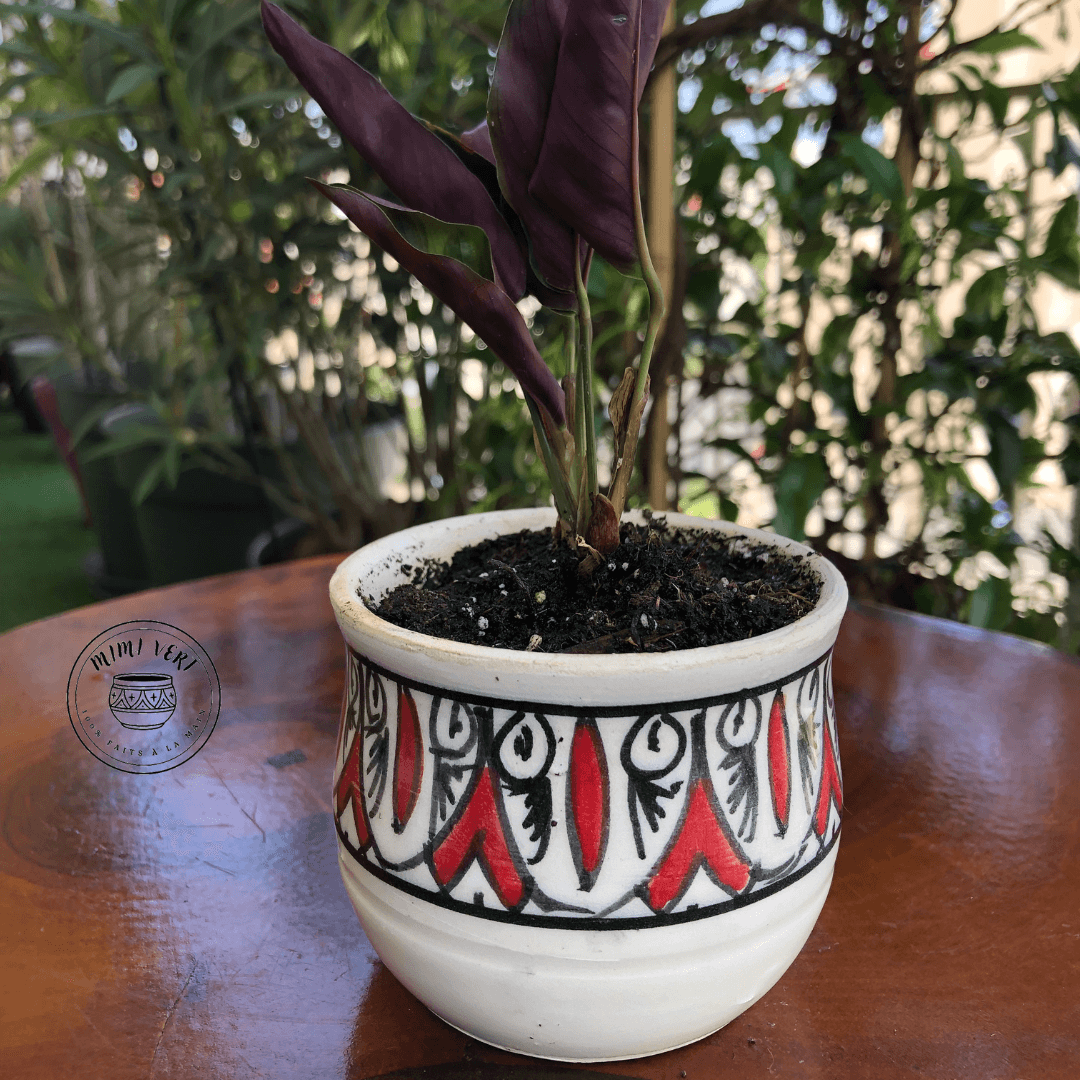Pot en céramique fait à la main avec des motifs inspirés de l’artisanat marocain, rouge et blanc, contenant une plante grasse, posé sur une table en bois avec des plantes vertes en arrière-plan.