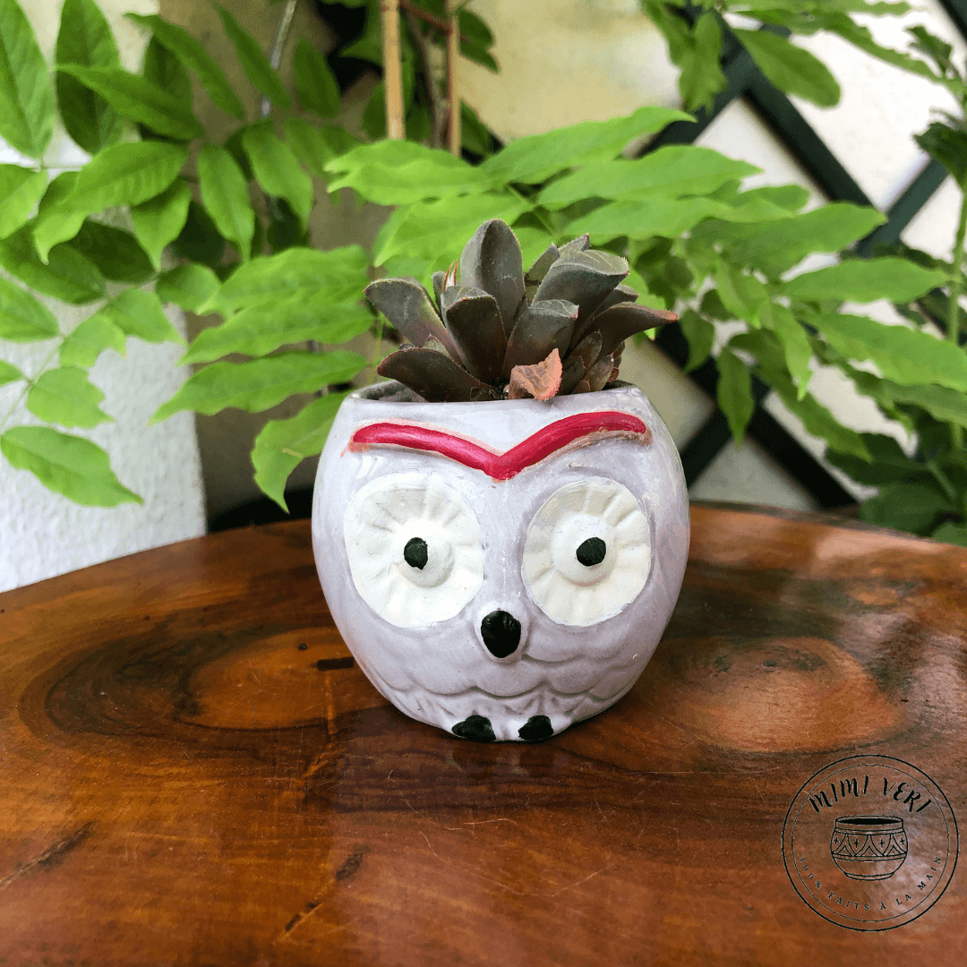 Petit pot en forme de hibou, gris clair, contenant un cactus, posé sur une table en bois avec des plantes vertes en arrière-plan.