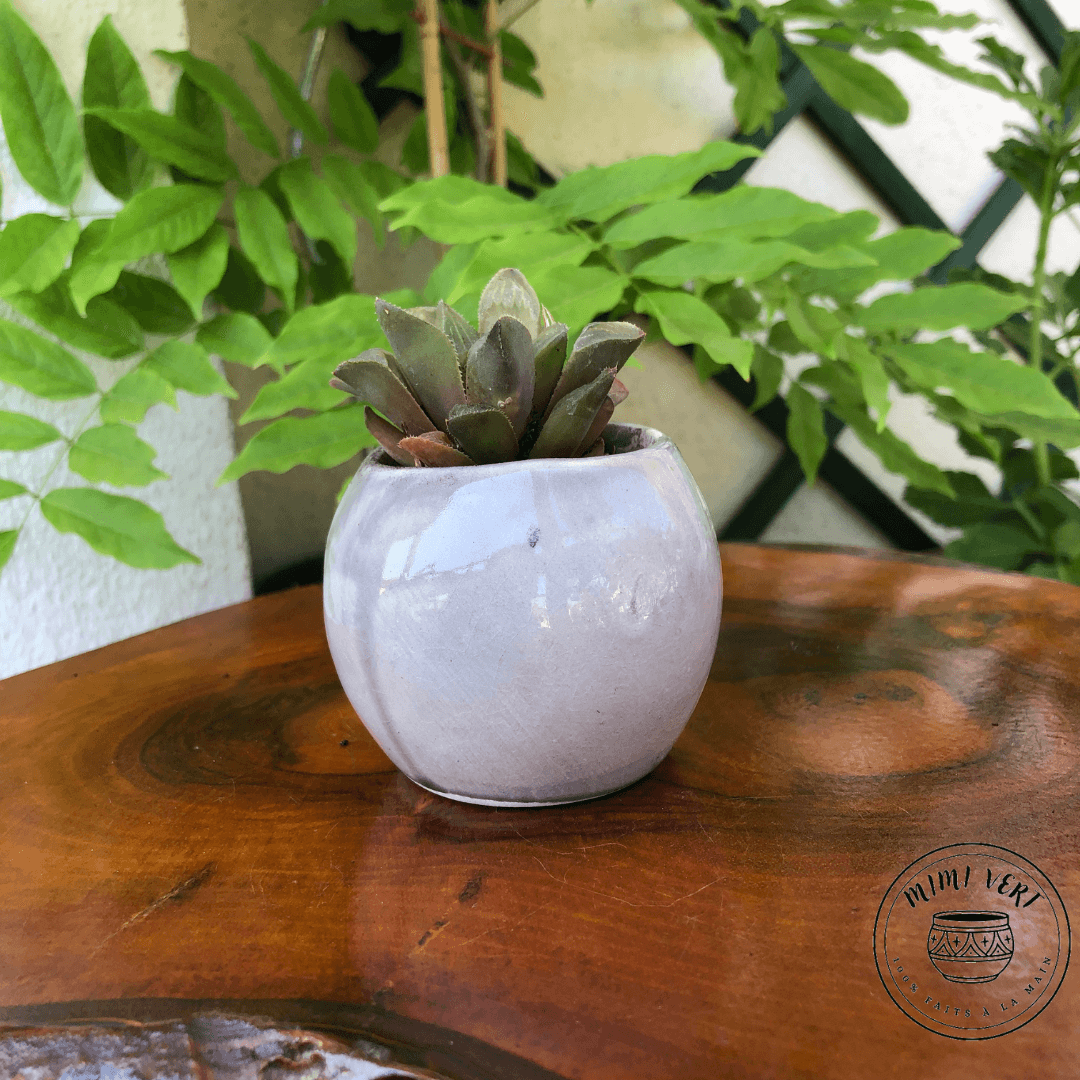 Petit pot en forme de hibou, de dos, gris clair, contenant un cactus, posé sur une table en bois avec des plantes vertes en arrière-plan.