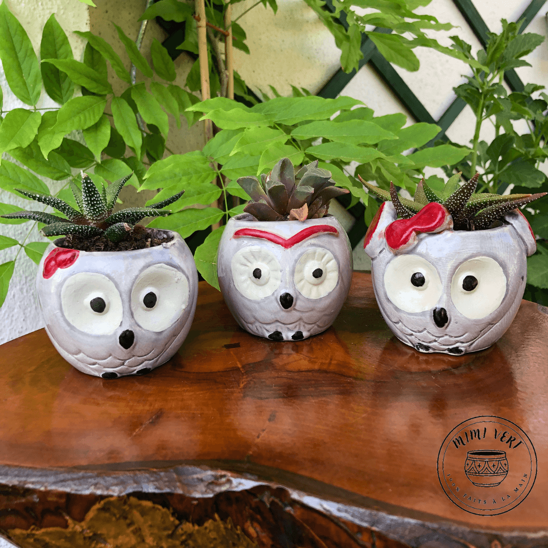 Trois petits pots en forme de hibou, gris clair, chacun contenant un cactus, posés sur une table en bois avec des plantes vertes en arrière-plan.