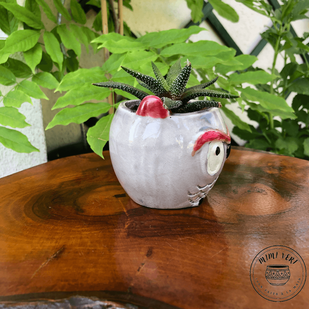 Petit pot en forme de hibou, gris clair, contenant un cactus, posé sur une table en bois avec des plantes vertes en arrière-plan.