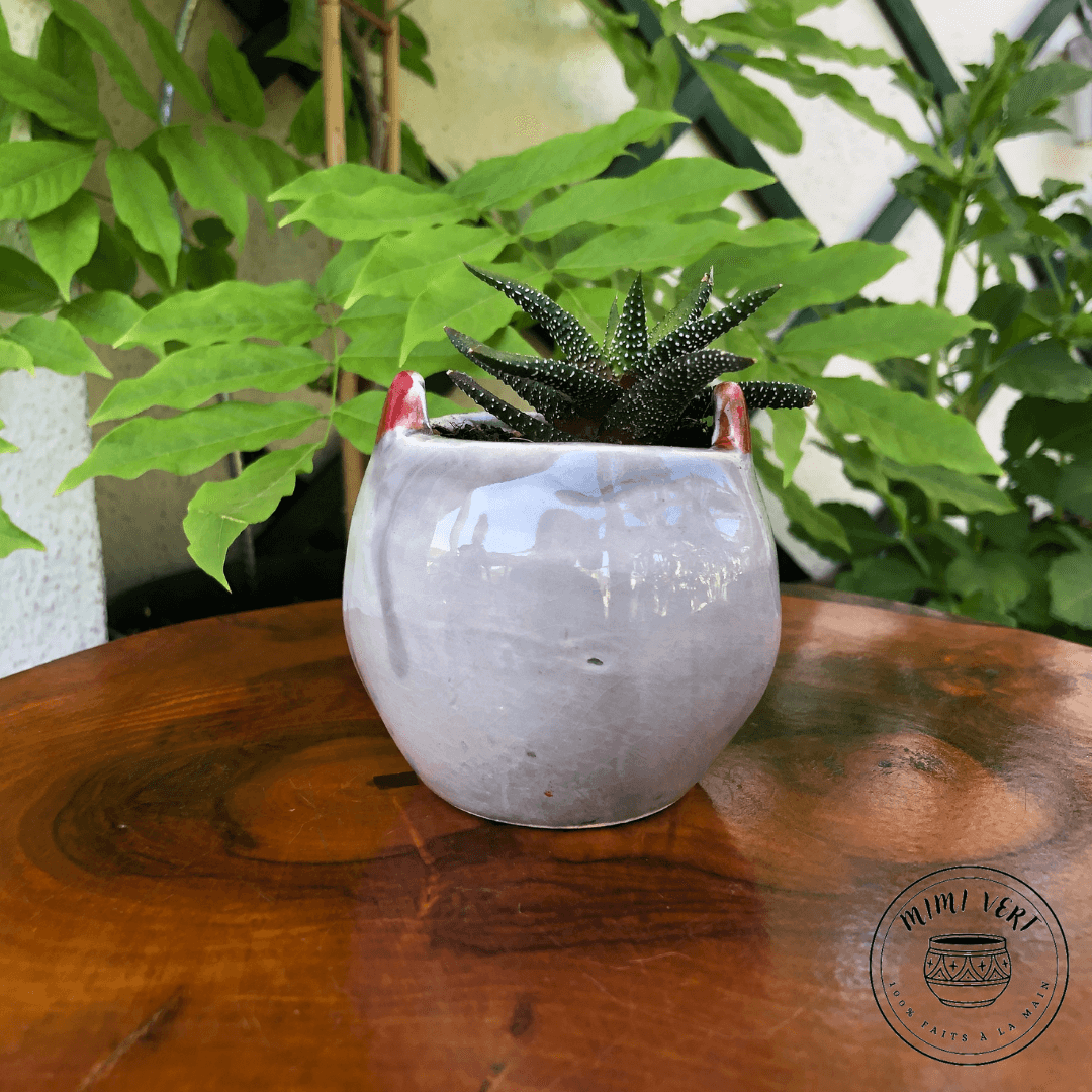 Petit pot en forme de hibou, de dos, gris clair, contenant un cactus, posé sur une table en bois avec des plantes vertes en arrière-plan.