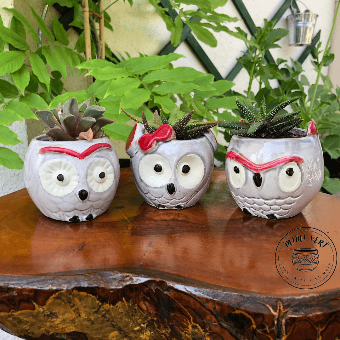 Trois petits pots en forme de hibou, gris clair, chacun contenant un cactus, posés sur une table en bois avec des plantes vertes en arrière-plan.