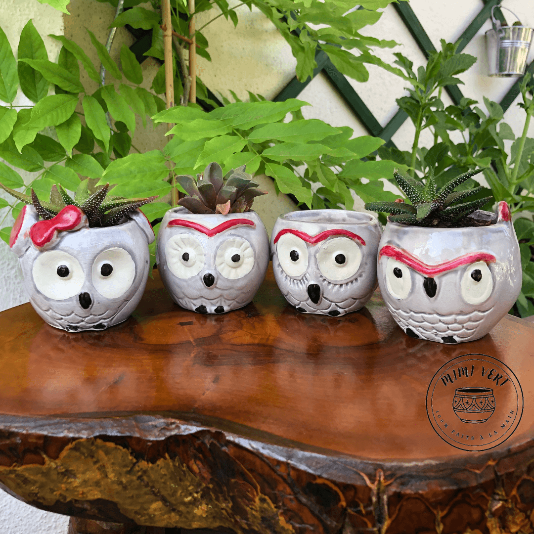 Quatre petits pots en forme de hibou, gris clair, dont trois contenant un cactus et un vide, posés sur une table en bois avec des plantes vertes en arrière-plan.