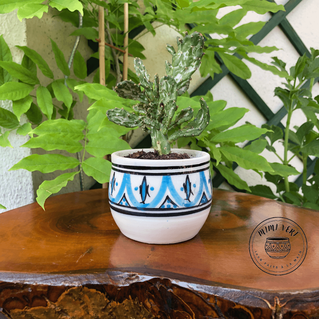 Pot en céramique fait à la main avec des motifs inspirés de l’artisanat marocain, bleu noir et blanc, contenant un cactus, posé sur une table en bois avec des plantes vertes en arrière-plan.