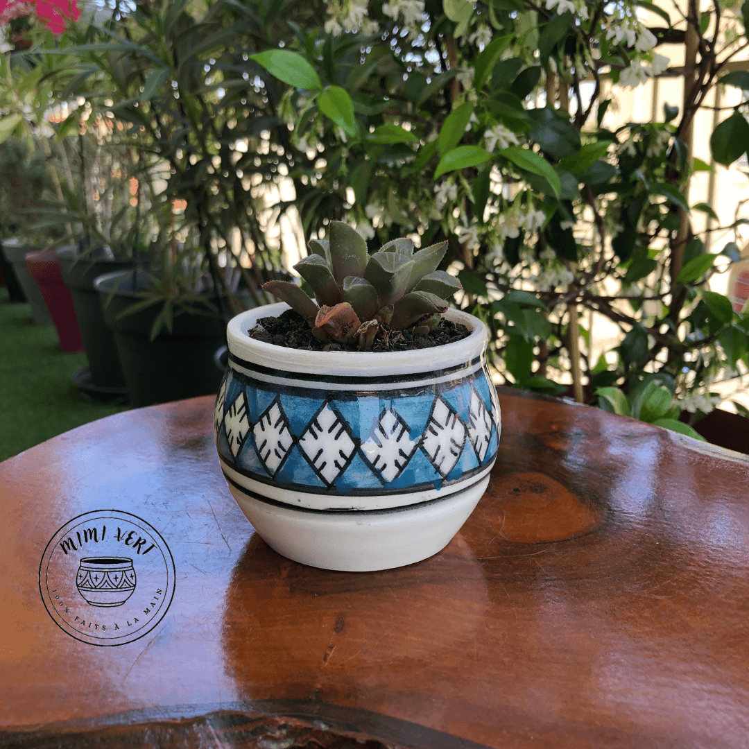 Pot en céramique fait à la main avec des motifs inspirés de l’artisanat marocain, bleu et blanc, contenant une plante grasse, posé sur une table en bois avec des plantes vertes en arrière-plan.