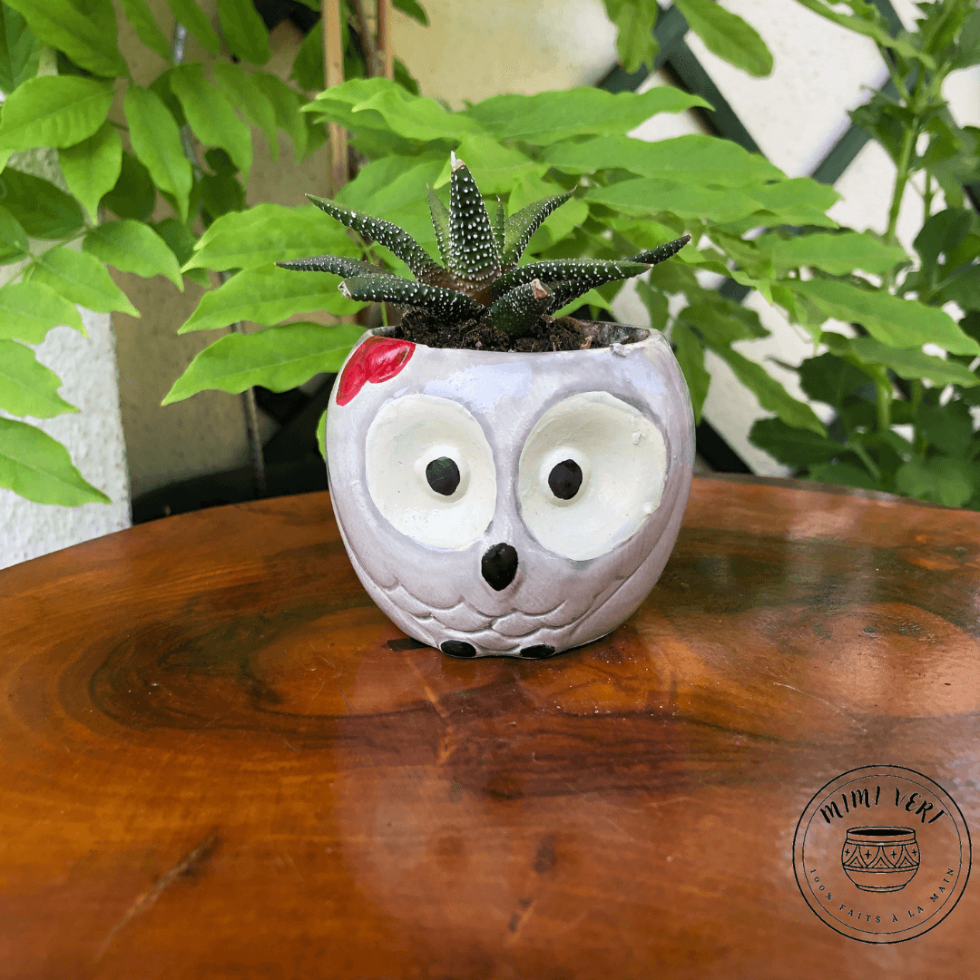 Petit pot en forme de hibou, gris clair, contenant un cactus, posé sur une table en bois avec des plantes vertes en arrière-plan.