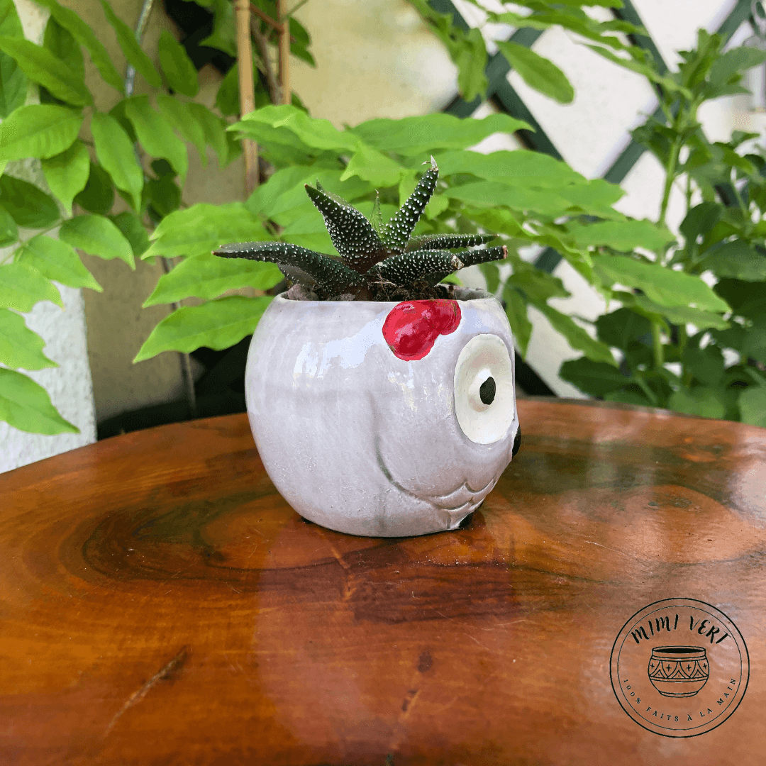 Petit pot en forme de hibou, gris clair, contenant un cactus, posé sur une table en bois avec des plantes vertes en arrière-plan.