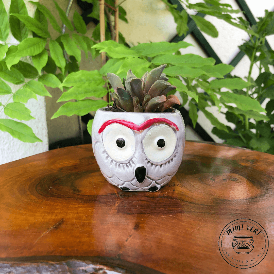 Petit pot en forme de hibou, gris clair, contenant un cactus, posé sur une table en bois avec des plantes vertes en arrière-plan.