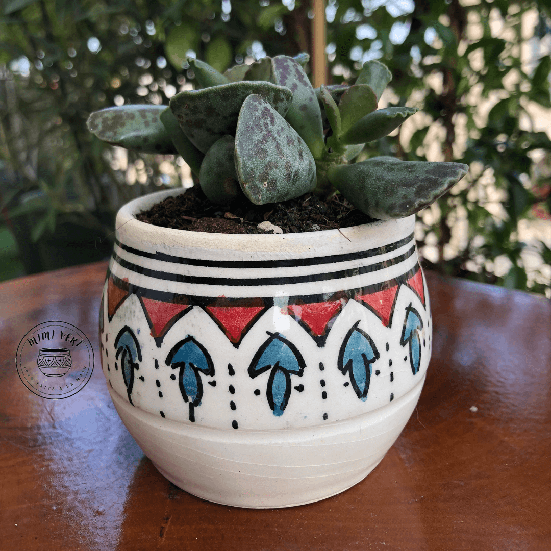 Pot en céramique fait à la main avec des motifs inspirés de l’artisanat marocain, blanc, rouge bleu et noir, contenant une plante grasse, posé sur une table en bois avec des plantes vertes en arrière-plan.