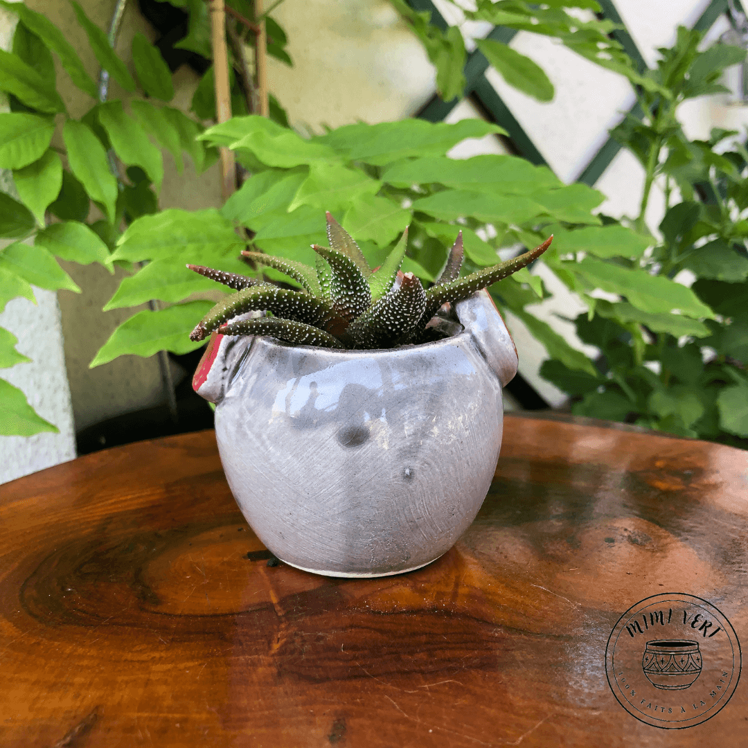 Petit pot en forme de hibou, gris clair, contenant un cactus, posé sur une table en bois avec des plantes vertes en arrière-plan.