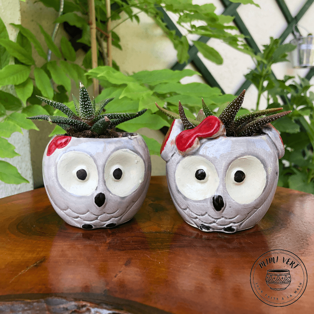 Deux petits pots en forme de hibou, gris clair, chacun contenant un cactus, posés sur une table en bois avec des plantes vertes en arrière-plan.