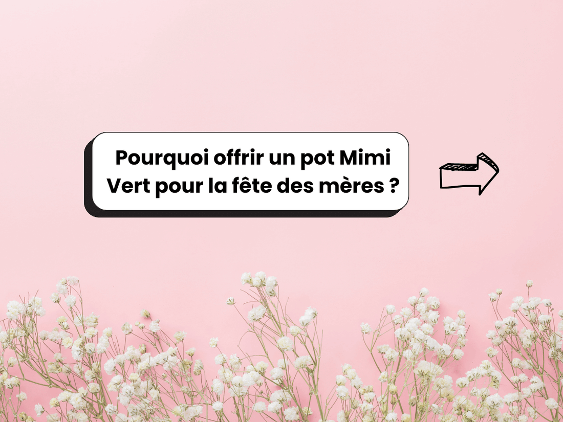 Fond rose avec du muguet et comme titre dessus : Pourquoi offrir un pot Mimi Vert pour la fête des mères ?