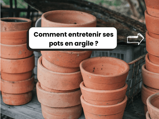 Photo de pots en argile vides, avec le titre : Comment entretenir ses pots en argile ?