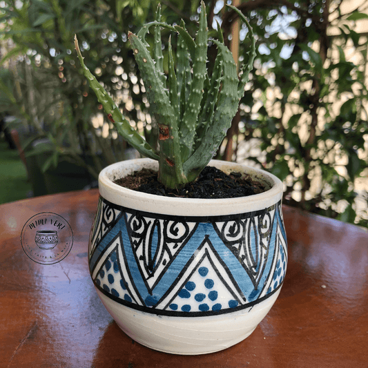 Pot en céramique fait à la main avec des motifs inspirés de l’artisanat marocain, bleu noir et blanc, contenant une plante grasse, posé sur une table en bois avec des plantes vertes en arrière-plan.