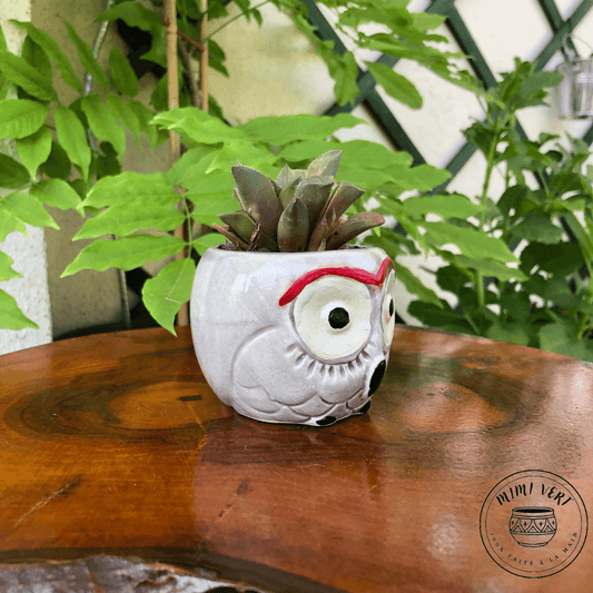 Petit pot en forme de hibou, gris clair, contenant un cactus, posé sur une table en bois avec des plantes vertes en arrière-plan.