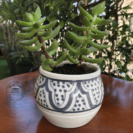 Pot en céramique fait à la main avec des motifs inspirés de l’artisanat marocain, gris et blanc, contenant une plante grasse, posé sur une table en bois avec des plantes vertes en arrière-plan.