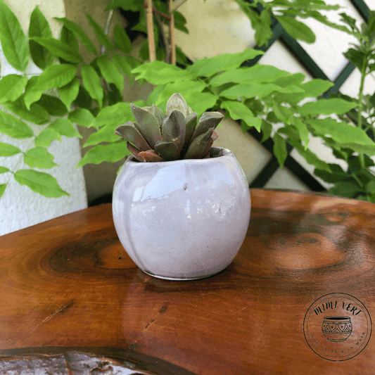 Petit pot en forme de hibou, de dos,  gris clair, contenant un cactus, posé sur une table en bois avec des plantes vertes en arrière-plan.