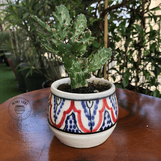 Pot en céramique fait à la main avec des motifs inspirés de l’artisanat marocain, blanc rouge et bleu, contenant un cactus, posé sur une table en bois avec des plantes vertes en arrière-plan.