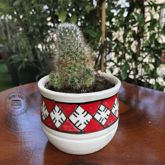 Pot en céramique fait à la main avec des motifs inspirés de l’artisanat marocain, rouge et blanc, contenant un cactus, posé sur une table en bois avec des plantes vertes en arrière-plan.