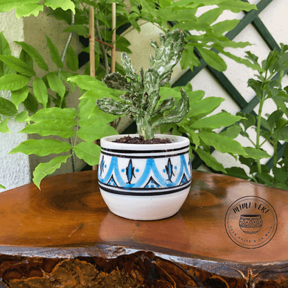 Pot en céramique fait à la main avec des motifs inspirés de l’artisanat marocain, bleu noir et blanc, contenant un cactus, posé sur une table en bois avec des plantes vertes en arrière-plan.