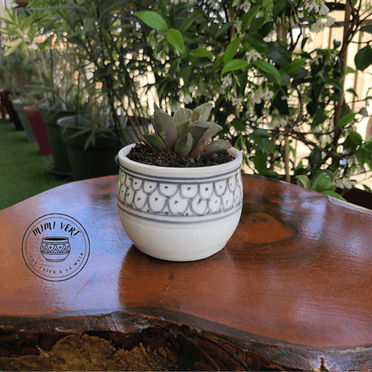 Pot en céramique fait à la main avec des motifs inspirés de l’artisanat marocain, gris et blanc,  contenant une plante grasse, posé sur une table en bois avec des plantes vertes en arrière-plan.