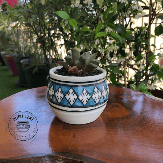 Pot en céramique fait à la main avec des motifs inspirés de l’artisanat marocain, bleu et blanc, contenant une plante grasse, posé sur une table en bois avec des plantes vertes en arrière-plan.