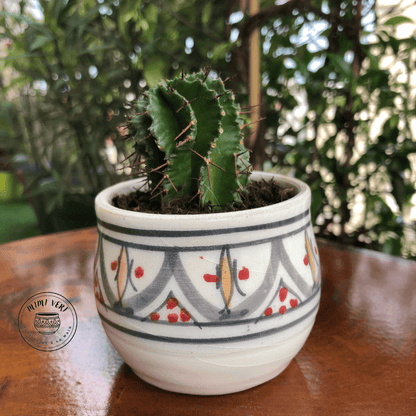 Pot en céramique fait à la main avec des motifs inspirés de l’artisanat marocain, blanc, gris jaune et rouge contenant un cactus, posé sur une table en bois avec des plantes vertes en arrière-plan.