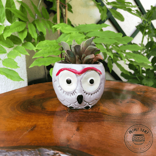Petit pot en forme de hibou, gris clair, contenant un cactus, posé sur une table en bois avec des plantes vertes en arrière-plan.