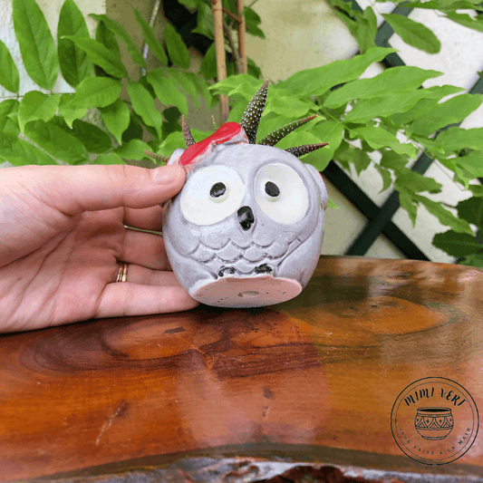 Petit pot en forme de hibou, gris clair, contenant un cactus, posé sur une table en bois avec des plantes vertes en arrière-plan.