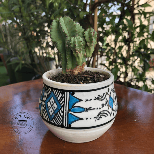 Pot en céramique fait à la main avec des motifs inspirés de l’artisanat marocain, bleu et blanc, contenant un cactus, posé sur une table en bois avec des plantes vertes en arrière-plan.