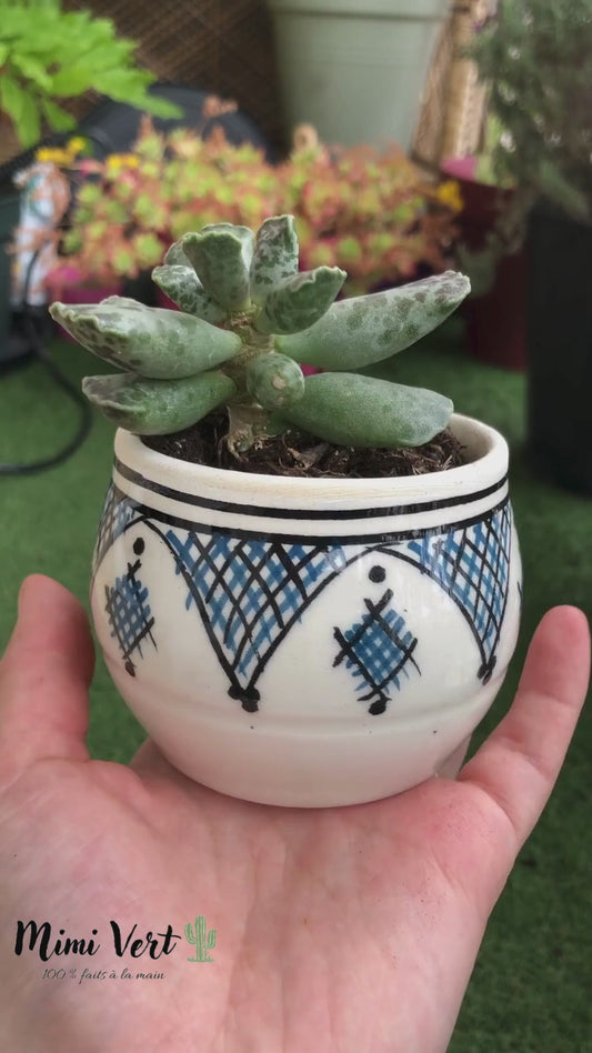 Pot Artisanal Lys